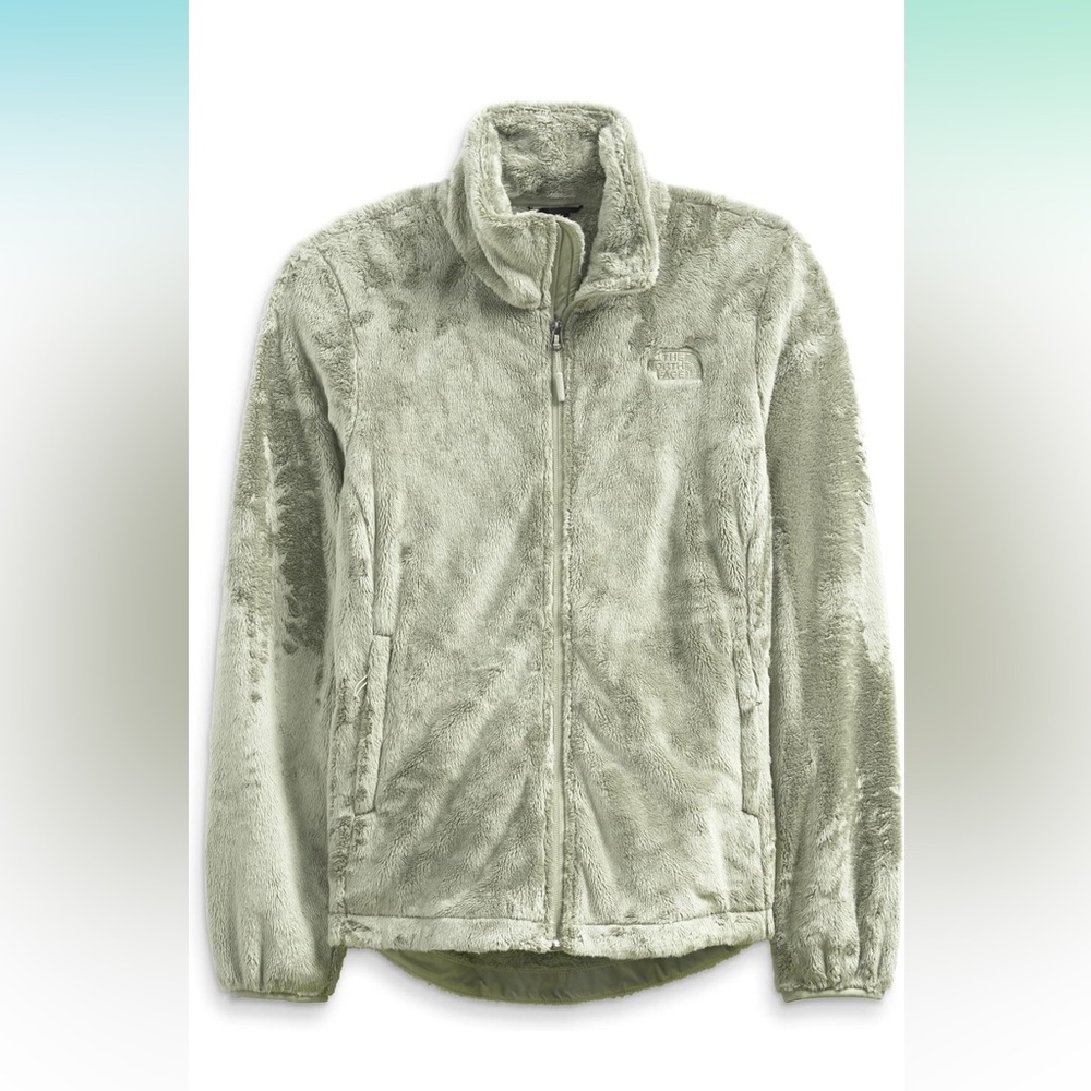 The North Face Fleece Gray Jacket (Large)